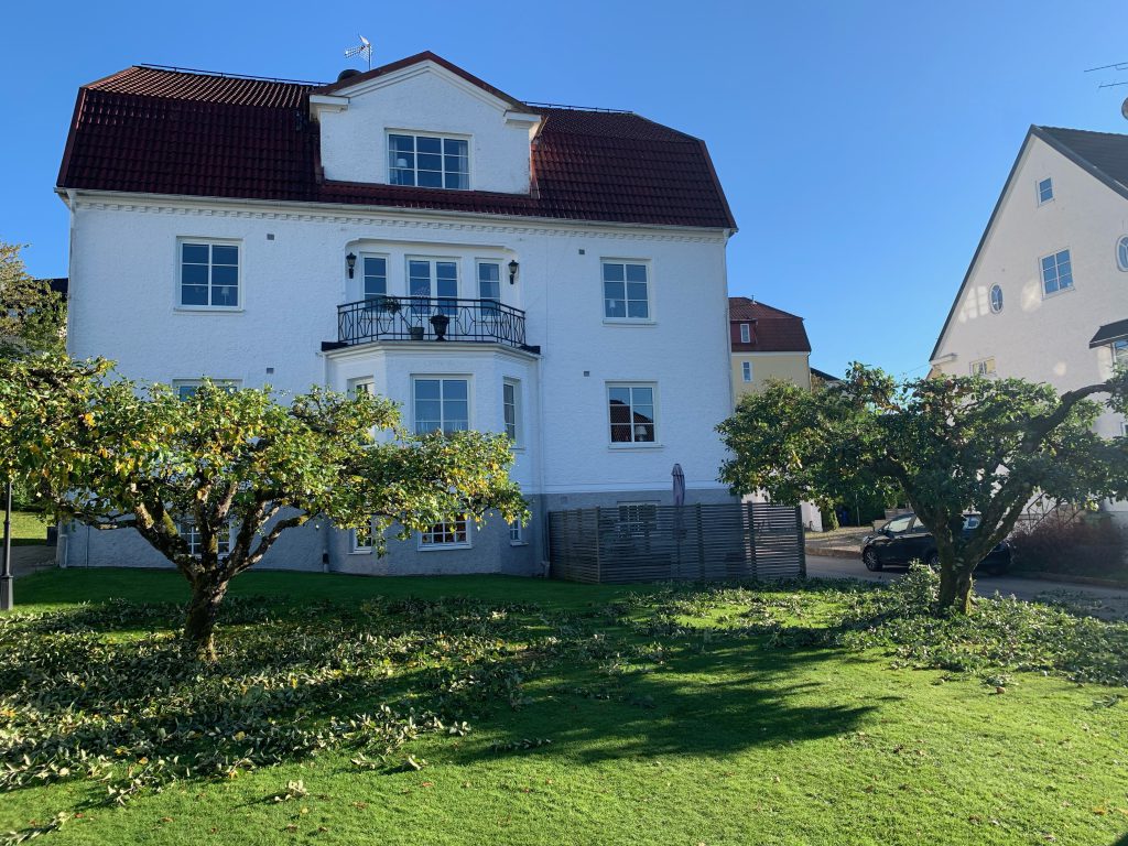 Trädgårdstjänst vår